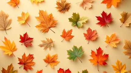 Autumn leaves in various colors arranged on a light background, creating a seasonal pattern.