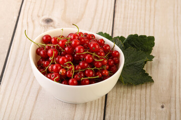 Ripe sweet organic red currant heap