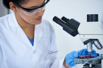 Woman, science and microscope for blood research, exam or dna analysis on lab petri dish....