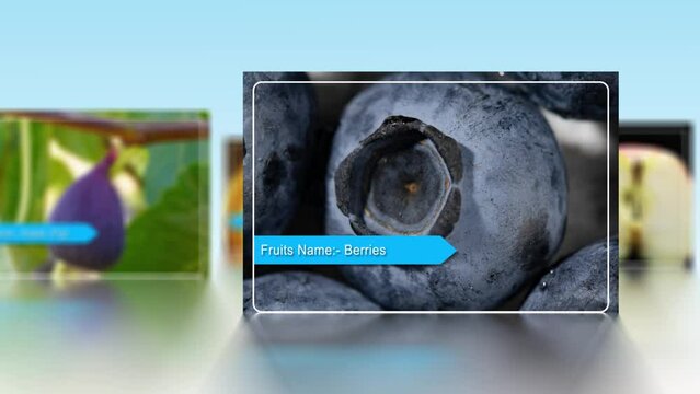 Huckleberries North American Fruits, Lemon, Orange, Apple And Fig fruits Animation, Fig Fruits Slideshow Video For Business