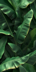 Lush Green Tropical Banana Leaves with Vibrant Textures