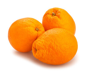 calabrian oval blond oranges path isolated on white