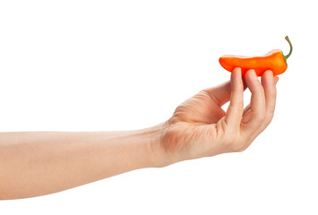 orange mini bell pepper in hand path isolated on white
