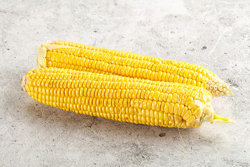 Sweet yellow raw corn cob