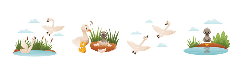 Ugly Duckling Fairy Tale with Little Birdie Vector Set