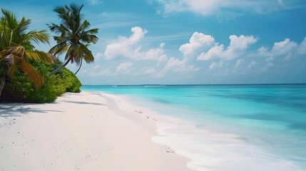 White sandy beach with palm tree background.