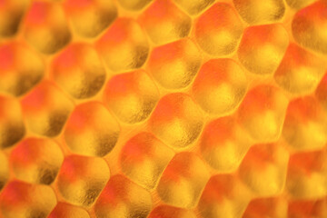 fondo de forma de panal de abejas, de color naranja.