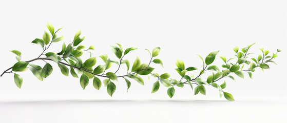 Fototapeta premium Elegant green leafy vine on a white background, showcasing natural beauty and simplicity, perfect for designs and nature-related projects.