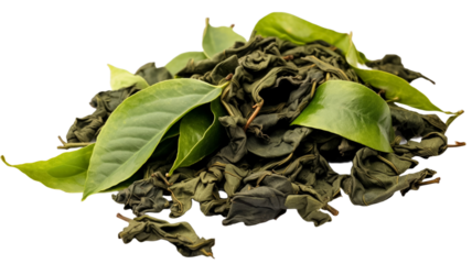 Fresh green tea leaf and dry isolated on transparent png background.


