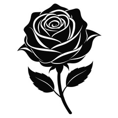 rose silhouettes isolated illustration