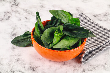 Ripe green spinach leaves heap