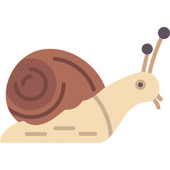 Snail Icon