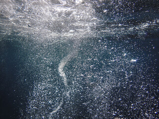 bubbles, bubbles undersea, undersea, green water, underwater, crystal sea, background, sea, bubble, bubbles underwater, water, blue, ocean, mediterranean, light, diving, backdrop, air, marine, aqua.