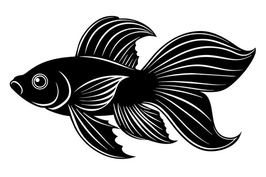 recommend clip art: betta fish vector silhouette illustration