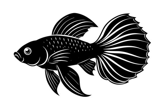 recommend clip art: betta fish vector silhouette illustration