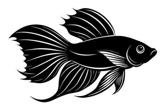 recommend clip art: betta fish vector silhouette illustration