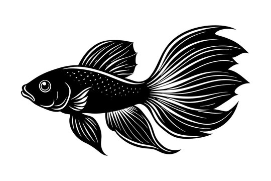 recommend clip art: betta fish vector silhouette illustration
