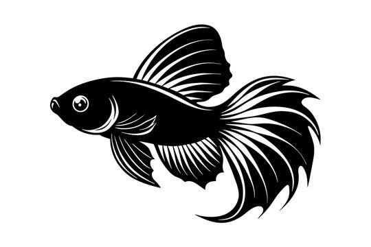 recommend clip art: betta fish vector silhouette illustration