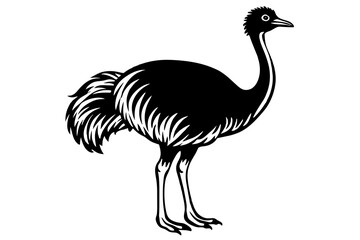emu vector silhouette illustration