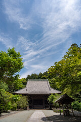 Fototapeta premium 鎌倉245 妙本寺20 新緑