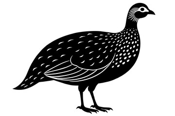 guinea fowl vector silhouette illustration