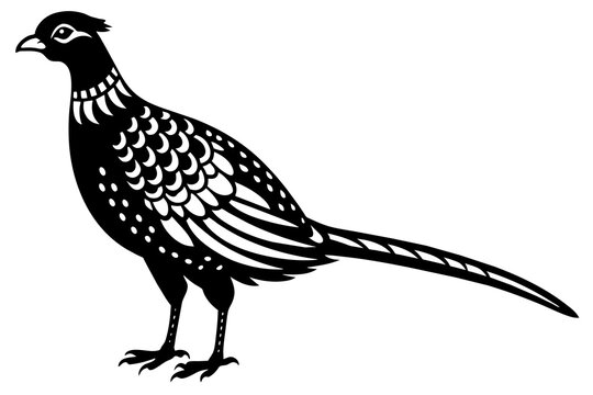 recommend clip art: pheasant vector silhouette illustration