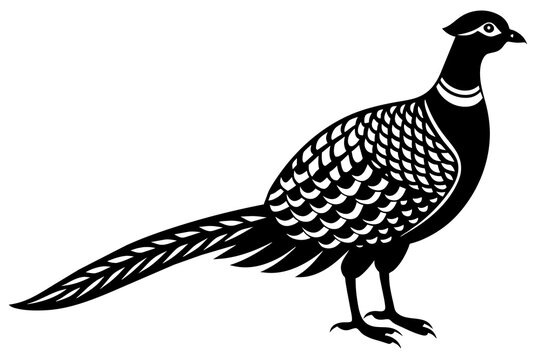 recommend clip art: pheasant vector silhouette illustration