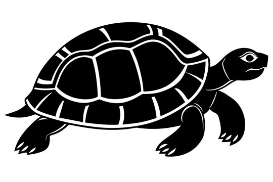 recommend clip art:  turtle vector silhouette illustration
