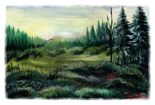 Forest landscape in early autumn. Oil painting. Landscape with pine trees and bushes.