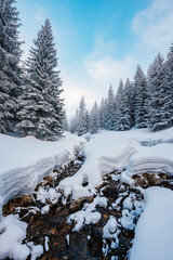 Alpine mountains landscape with white snow and blue sky. Sunset winter in nature. Frosty trees under warm sunlight. Wonderful wintry landscape. Low Tatras, Slovakia