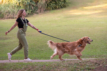 .young woman walking golden retriever dog in park on summer day