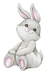 bunny, a cute animal on an isolated background.