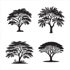 Acacia tree silhouette vector icon graphic logo ai generated design