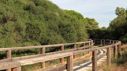 Fototapeta premium Lido Adriano Passerella di legno che porta sulla spiaggia.
