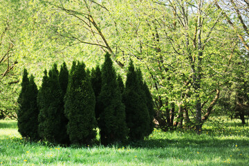 View of the city park with vegetation.