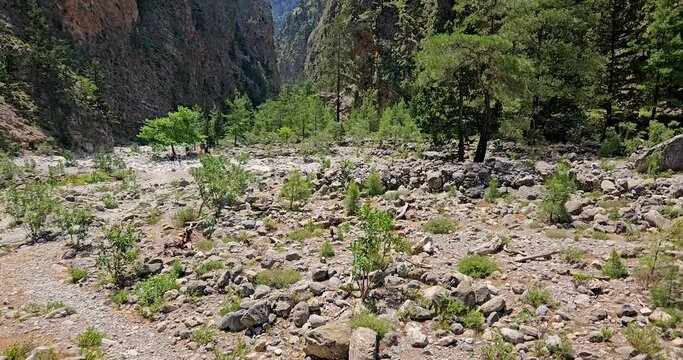 Samaria Gorge landscape view of dry riverbed and vertical cliffs, tourists hiking through the gorge, Crete, Greece.