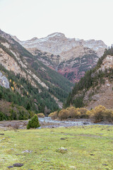 The Bujaruelo Valley is a valley in the Aragonese Pyrenees, in the province of Huesca, bordering...