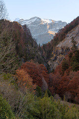 The Bujaruelo Valley is a valley in the Aragonese Pyrenees, in the province of Huesca, bordering...