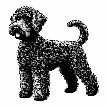 line art of a black schnoodle standing against a white background for use as a logo