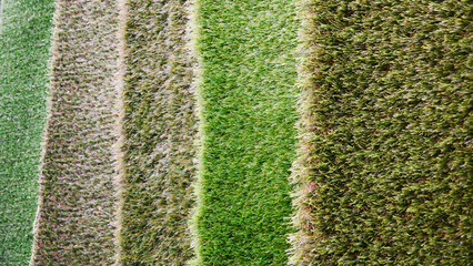 Close-up of different artificial turf samples