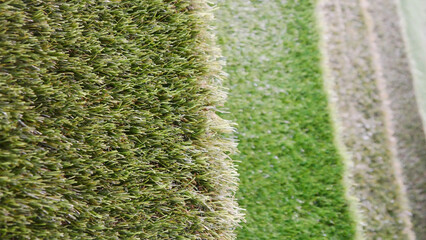 Close-up of different artificial turf samples