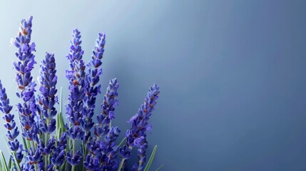 Fototapeta premium A blue table holds a cluster of purple flowers, surrounded by a vase filled with similar blooms Behind is a blue wall with a blue sky forming its backdrop
