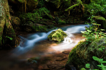 A tranquil small waterfall nestled within the heart of a lush forest