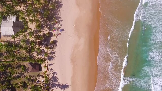 Ondas perfeitas quebrando na praia paradis&iacute;aca. V&iacute;deo a&eacute;reo filmado por drone em Taipu de Fora, Bahia, Brasil em um ensolarado dia de ver&atilde;o. Coqueiros projetam sombra na areia e o mar faz espuma 