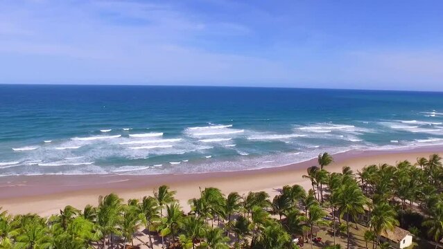 Drone levanta v&ocirc;o entre coqueiros mostrando o mar em praia paradis&iacute;aca vazia no litoral da Bahia, Brasil. Filme a&eacute;reo de ondas quebrando no mar.