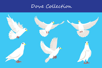 dove collection. dove in different poses. Vector illustration.