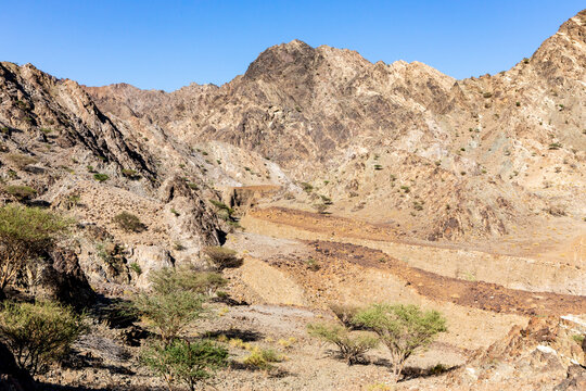 Hajar Mountains on Arabian Peninsula landscape view with dry riverbeds (wadi), barren acacia trees and dry rocky limestone mountains, United Arab Emirates.