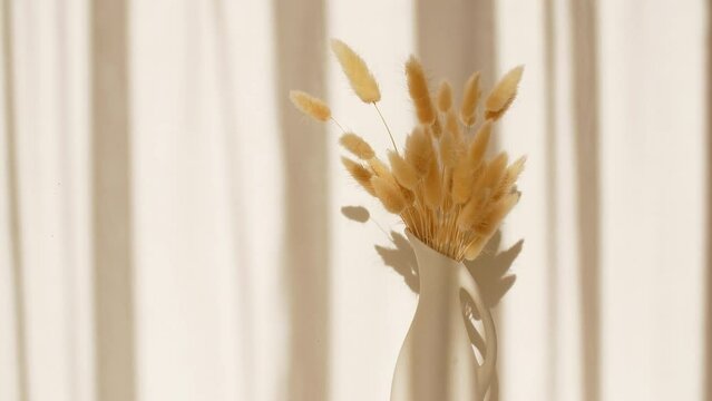 The movement of golden spikelets in the wind. Sunlight soft light and shadows from the transparent curtain, tulle. Space for text. Product presentation, mockup for advertising. High quality 4k 