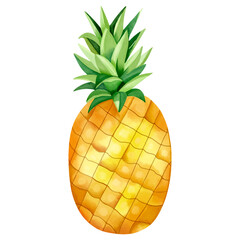 Watercolor pineapple. Yellow pinaple, vector illustration. Summertime element.