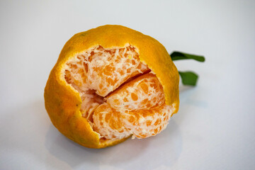 polcan tangerine isolated in selective focus